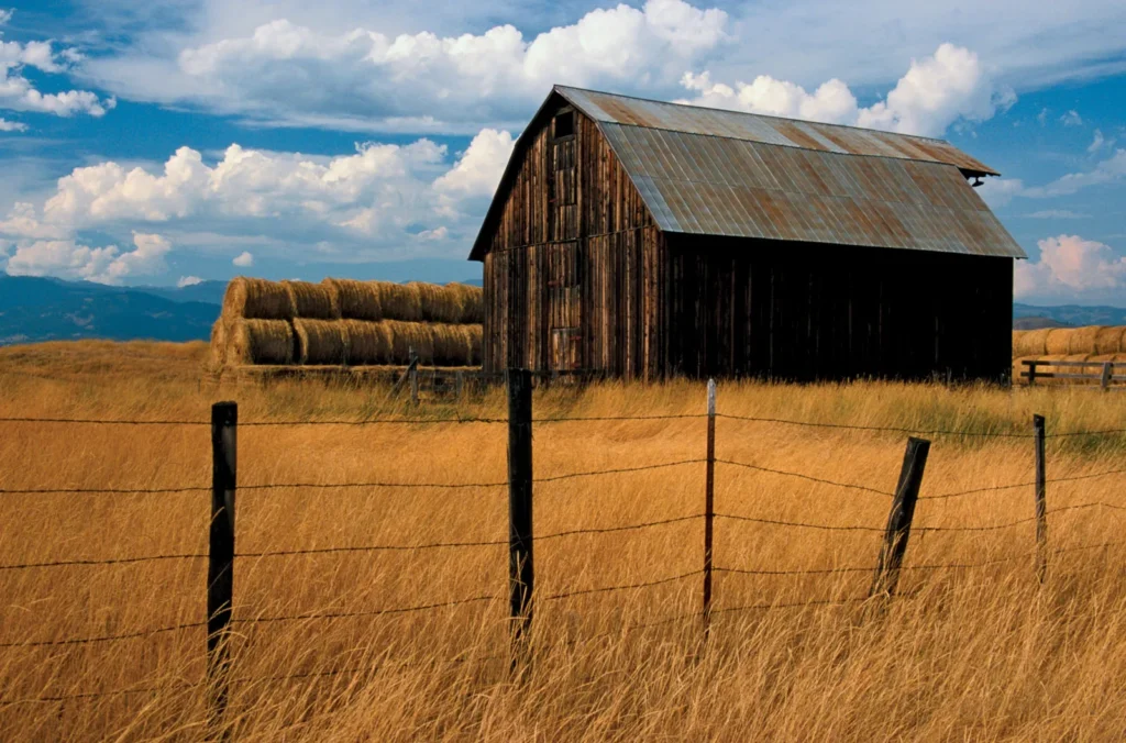 The Blessing of a Dirty Barn – 2/2/25