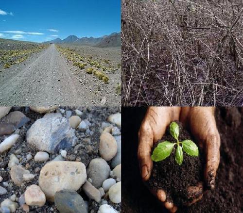 “The Parable of the Soils” – 2-23-25