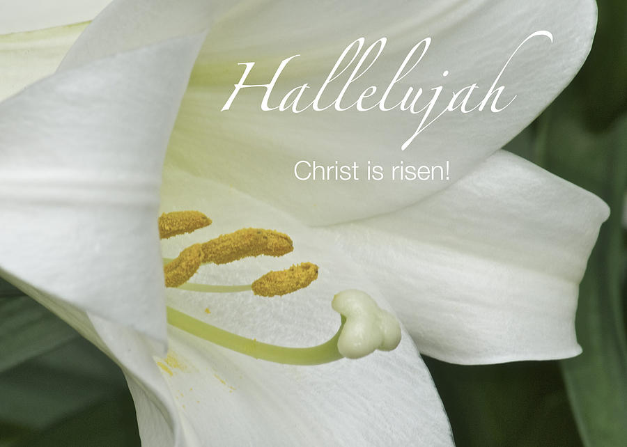 “Hallelujah For Easter – Now What?” – 04/12/26